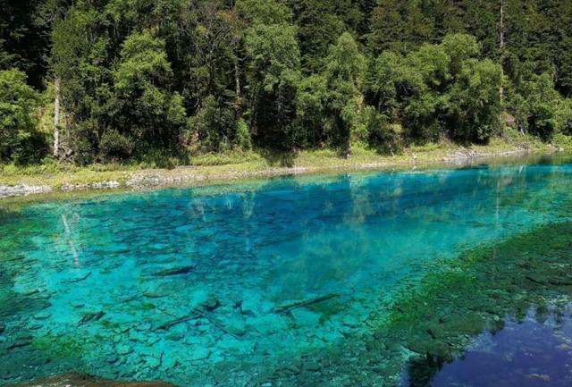 SER-20M型多普勒生命探測雷達(dá)